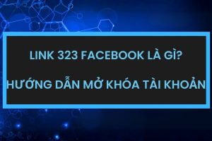 Link 323 là đường dẫn hỗ trợ chính thức của Facebook