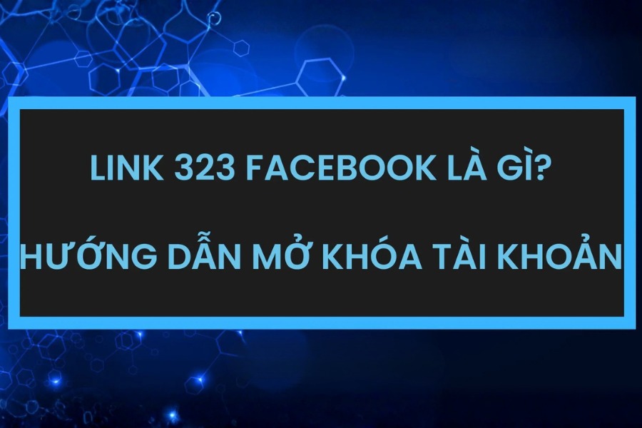 Link 323 là đường dẫn hỗ trợ chính thức của Facebook