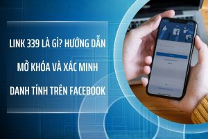 Hướng dẫn sử dụng Link 339 để xác minh danh tính
