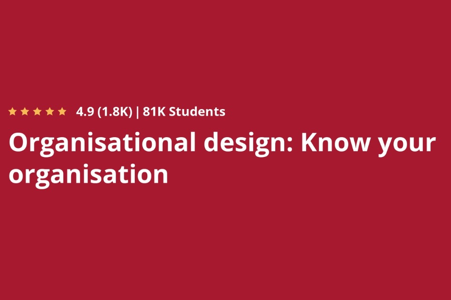 Organizational Design: Know Your Organization