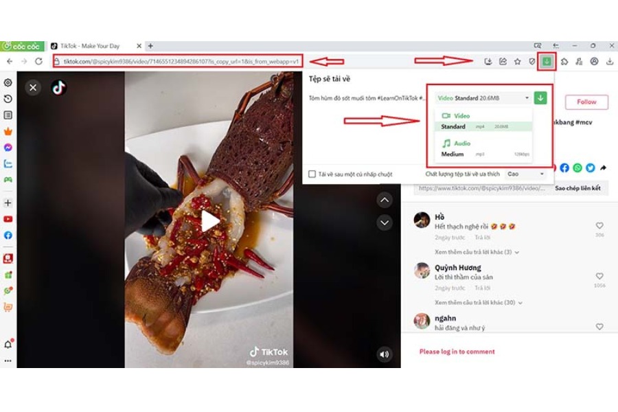 Cách tải video TikTok miễn phí trên máy tính